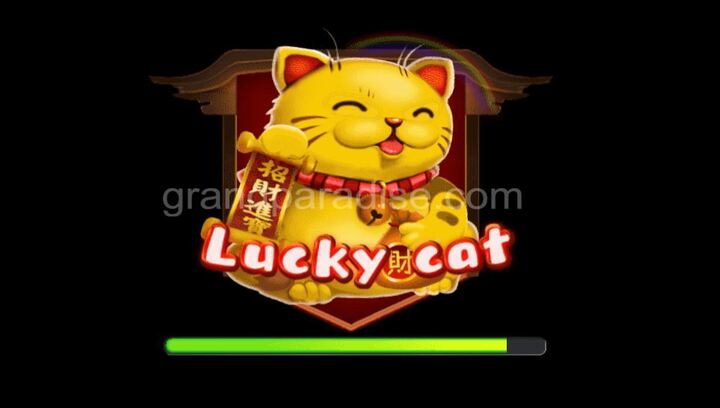 Lucky Cat