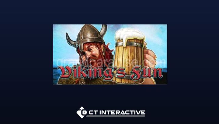 Vikings Fun